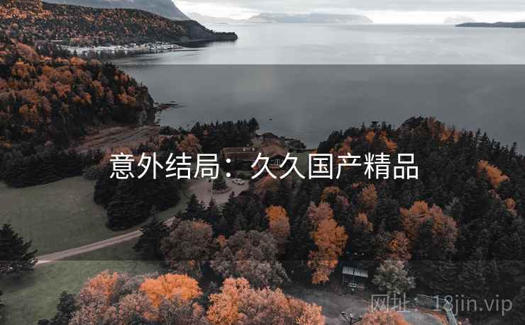 意外结局：久久国产精品