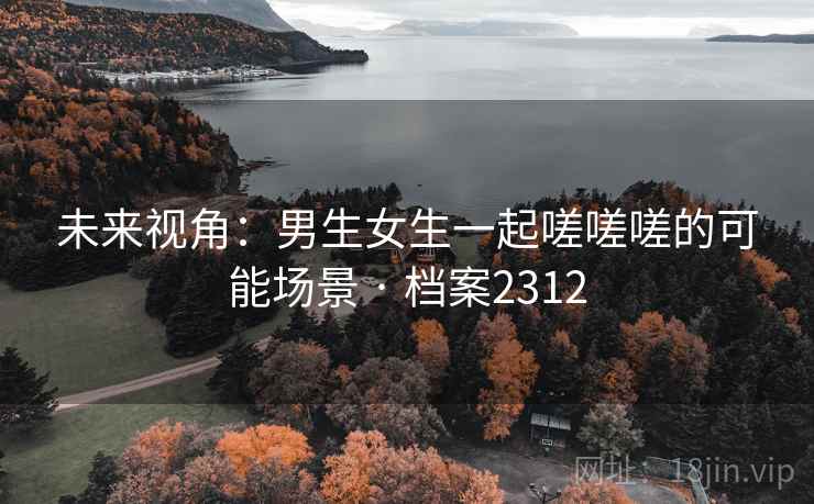 未来视角：男生女生一起嗟嗟嗟的可能场景 · 档案2312
