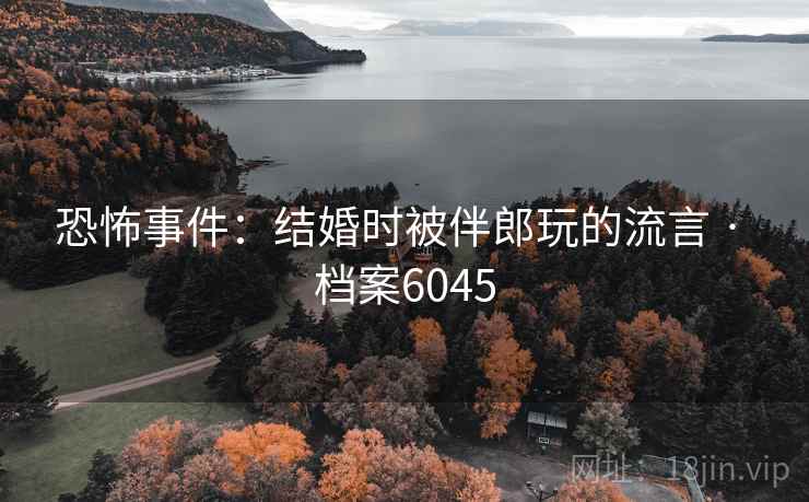 恐怖事件：结婚时被伴郎玩的流言 · 档案6045