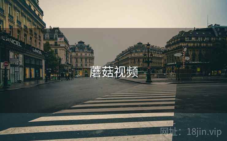 蘑菇视频
