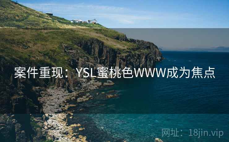 案件重现：YSL蜜桃色WWW成为焦点