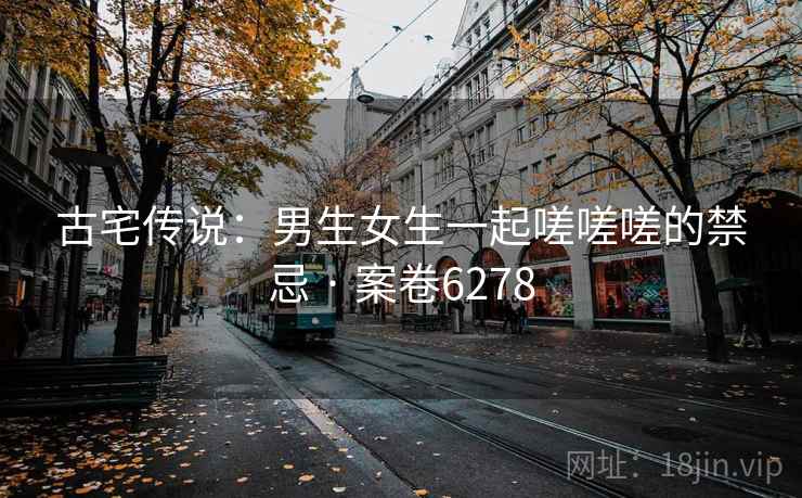 古宅传说：男生女生一起嗟嗟嗟的禁忌 · 案卷6278