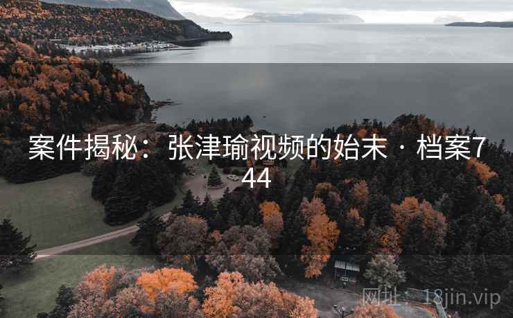案件揭秘：张津瑜视频的始末 · 档案744
