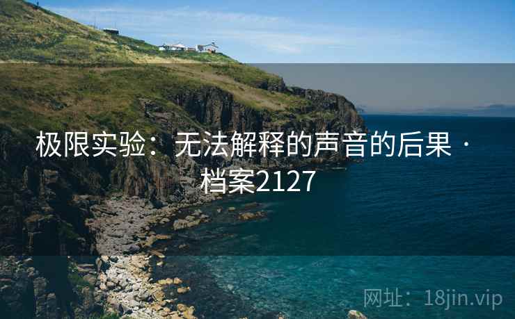 极限实验：无法解释的声音的后果 · 档案2127